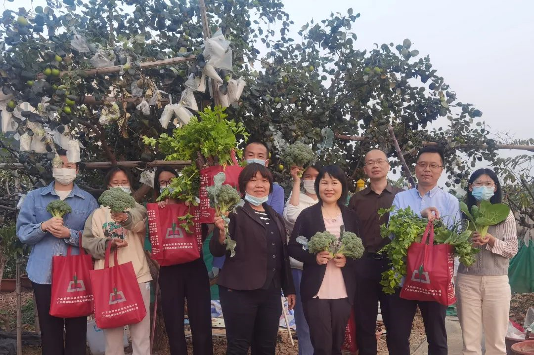 广东K8凯发(中国)集团组织员工采摘活动